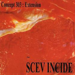 Scev Incide : Concept 303 : Extension